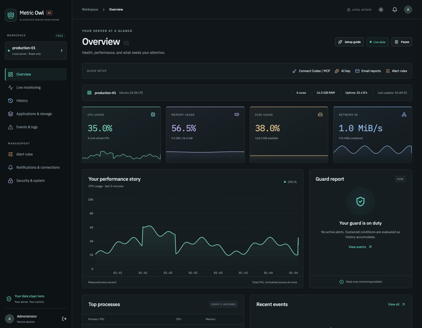 Metric Owl dashboard showing CPU, memory, disk and network cards with a performance chart. Example server data.